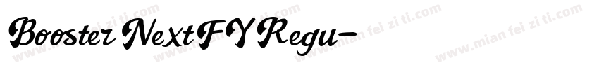 Booster Next FY Regu字体转换